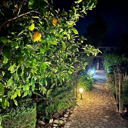 Cava By Capri * Anacapri (Isola di Capri)