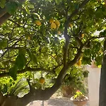 Cava By Capri